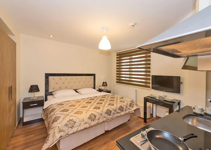 英维克顿公寓 3* 伊斯坦布尔