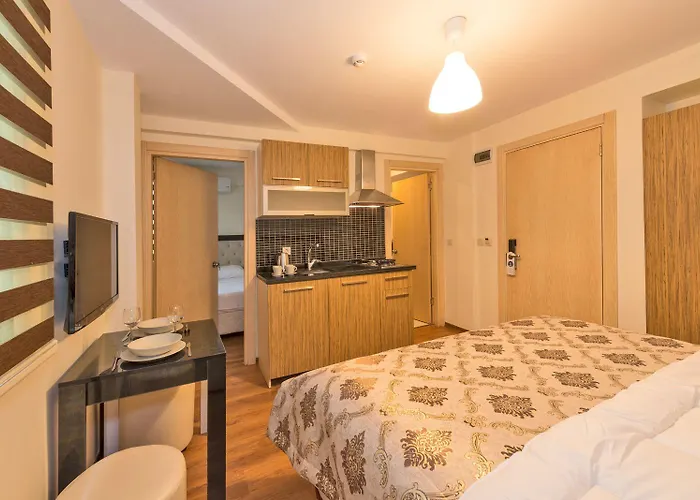 英维克顿公寓 伊斯坦布尔