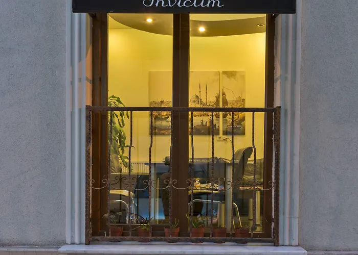 英维克顿公寓 伊斯坦布尔