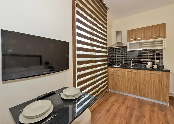 英维克顿公寓 3* 伊斯坦布尔